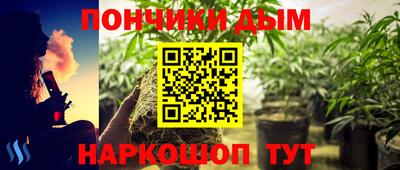 молекула духа Коммунар
