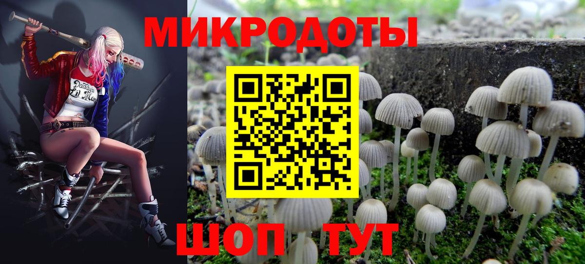 Красноармейск  Псилоцибиновые грибы Cubensis  Вход с VPN 