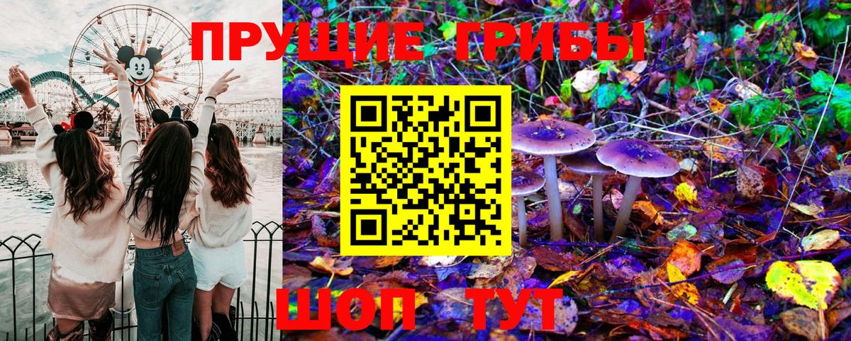 Псилоцибиновые грибы Cubensis Красноармейск
